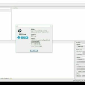 Skapa en unik BMW-upplevelse med BMW ESYS ICOM Ethernet - Komplett programvara för skräddarsydda inställningar